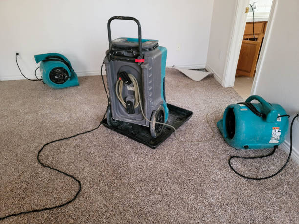 Best Carpet water damage restoration  in Westmont, PA