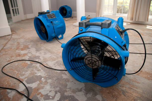 Best 24/7 water damage repair  in Westmont, PA