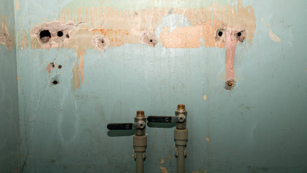Best Basement water damage restoration  in Westmont, PA