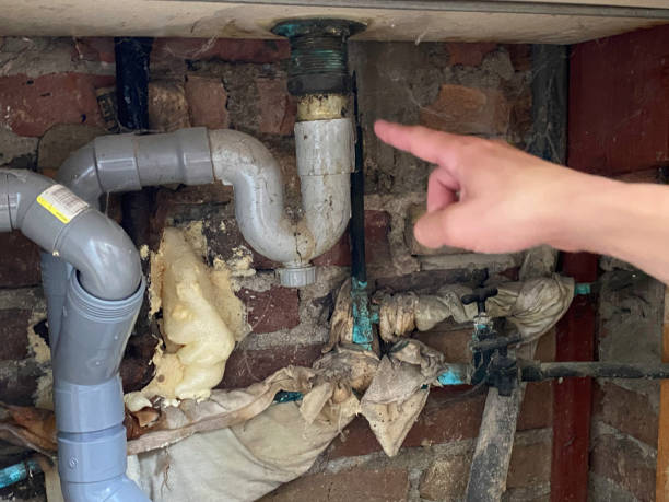 Best Water damage contractors near me  in Westmont, PA