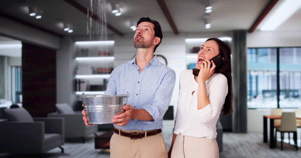 Best Residential water damage restoration  in Westmont, PA